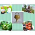 Fertilizantes orgánicos Micronutrientes Aminoácidos